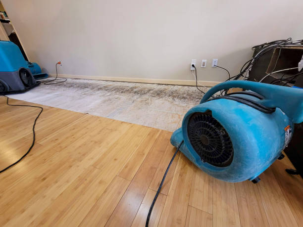 Professional Emergency Water Damage technician working in Westphalia, MD